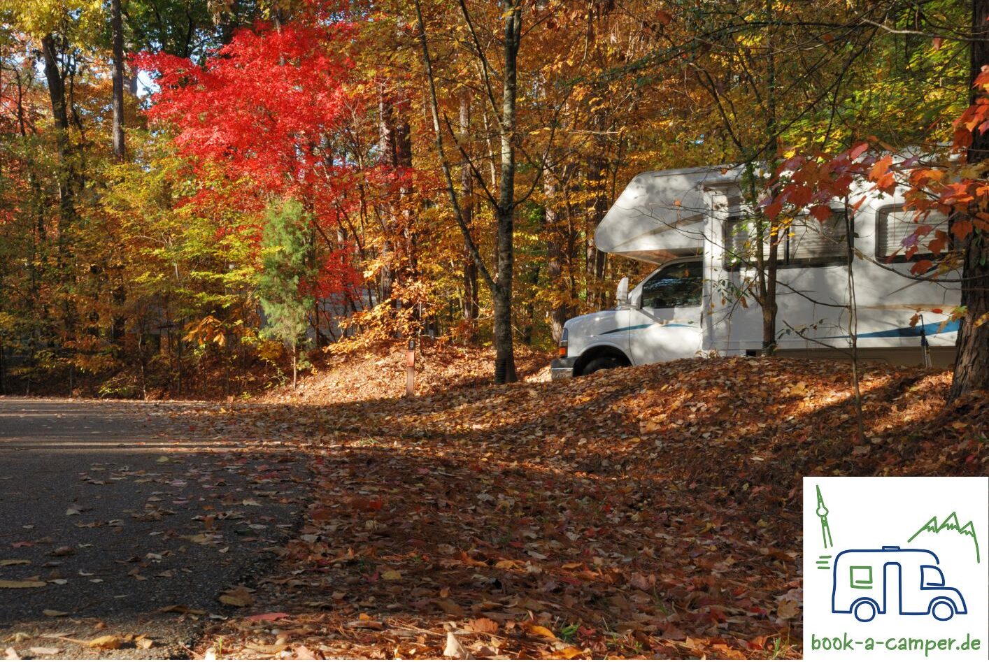 🍂 🚐 10.10. Tag der offenen Tür! ☀️🍂 Herbstzeit ist Camperzeit! 