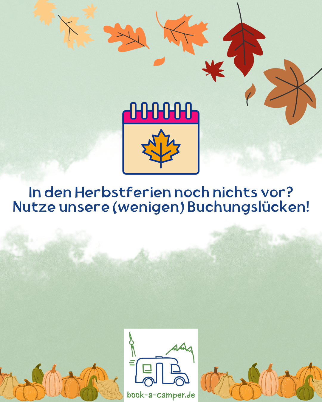 🍂 🚐 Unsere Buchungslücken in den Herbstferien ☀️🍂 